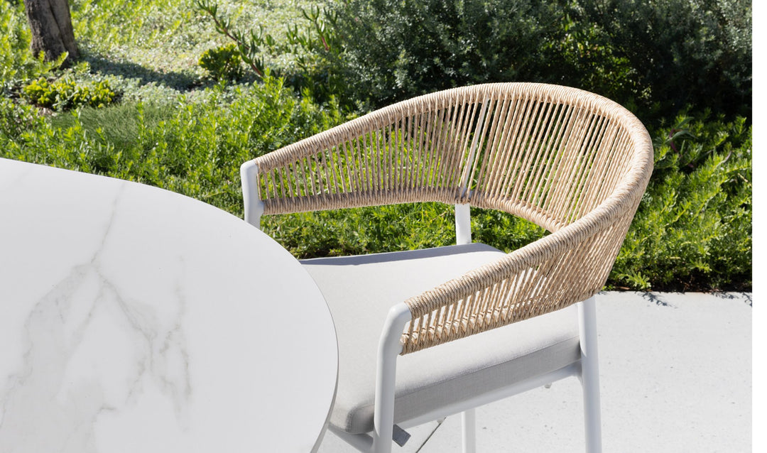Dining Chairs