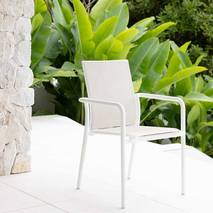 AROHA DINING CHAIR