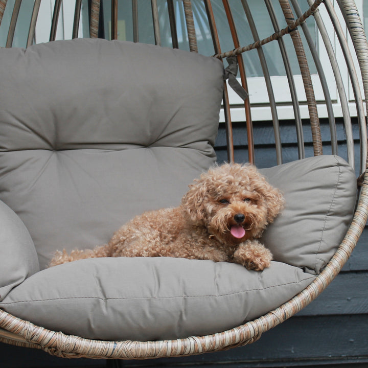 Byron Hanging Chair