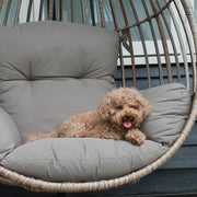 Byron Hanging Chair